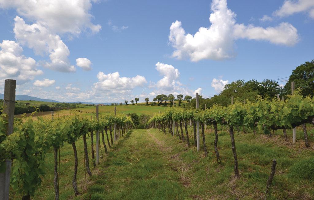 Agriturismo Il Canto Della Gallina Hotel Villastrada  Luaran gambar
