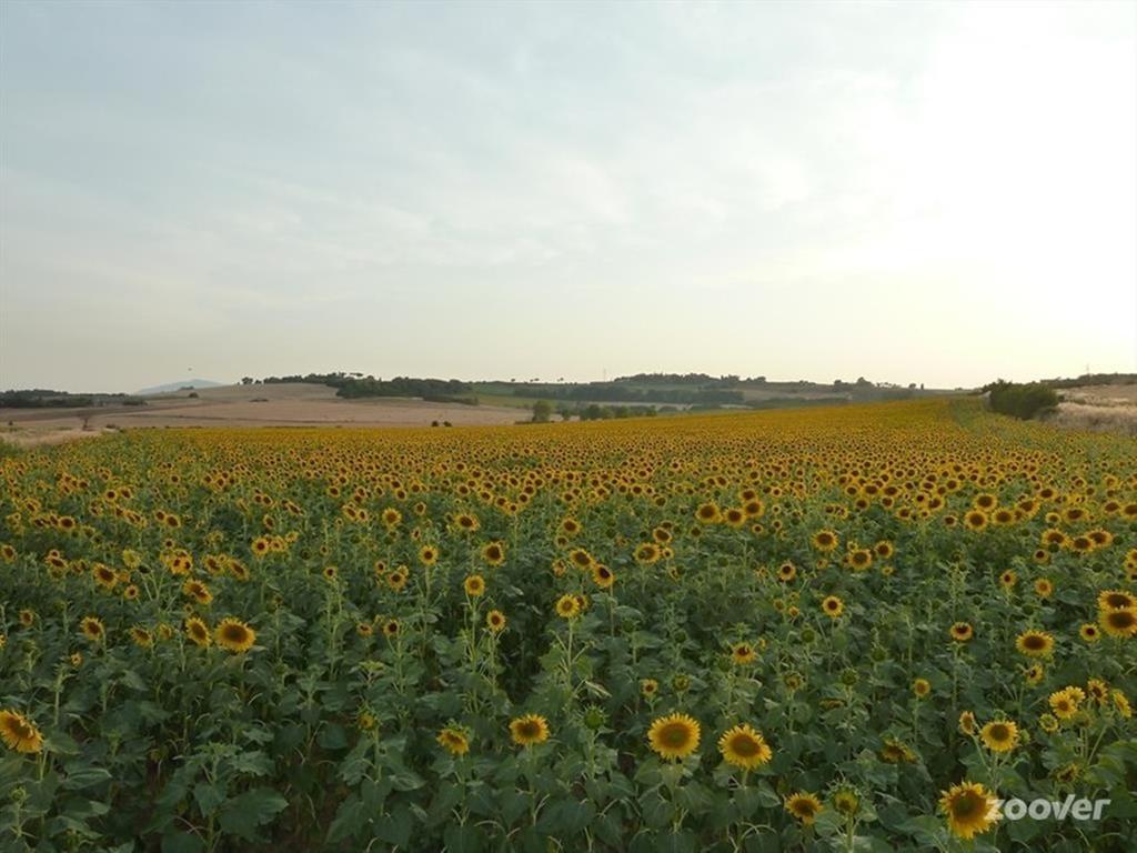 Agriturismo Il Canto Della Gallina Hotel Villastrada  Luaran gambar