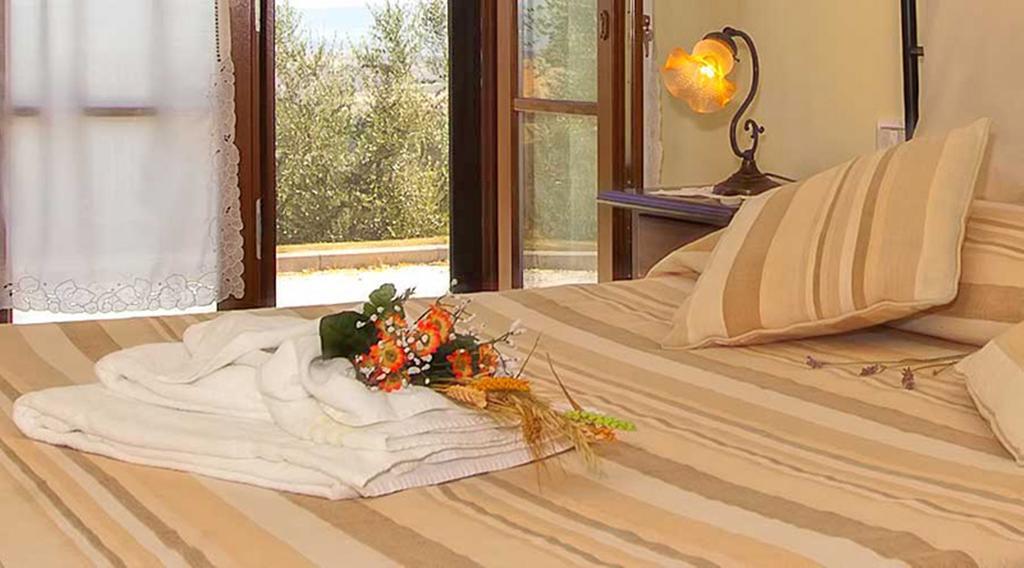 Agriturismo Il Canto Della Gallina Hotel Villastrada  Luaran gambar
